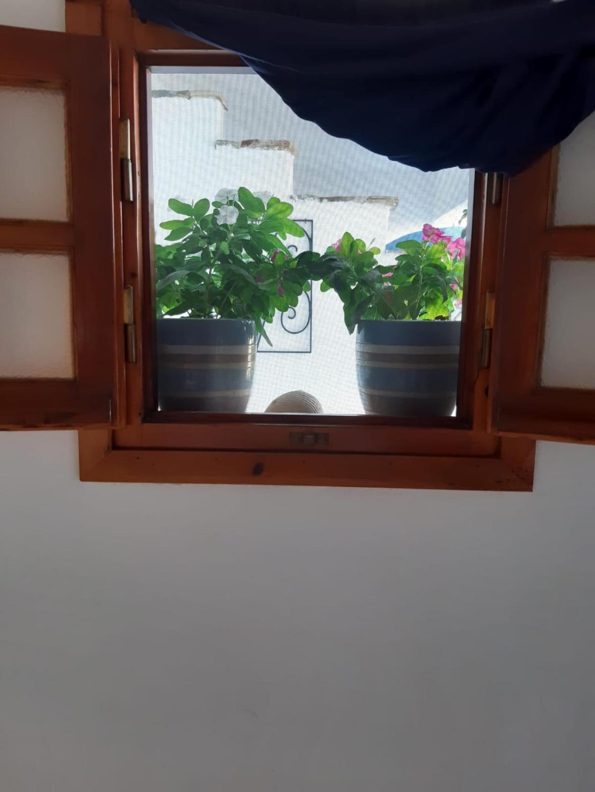 Fi Naxos Aparthotel Agios Prokopios  Buitenkant foto